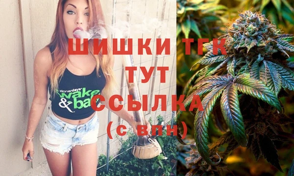 МДПВ Дмитровск