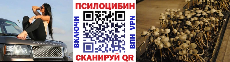 Галлюциногенные грибы MAGIC MUSHROOMS Шагонар